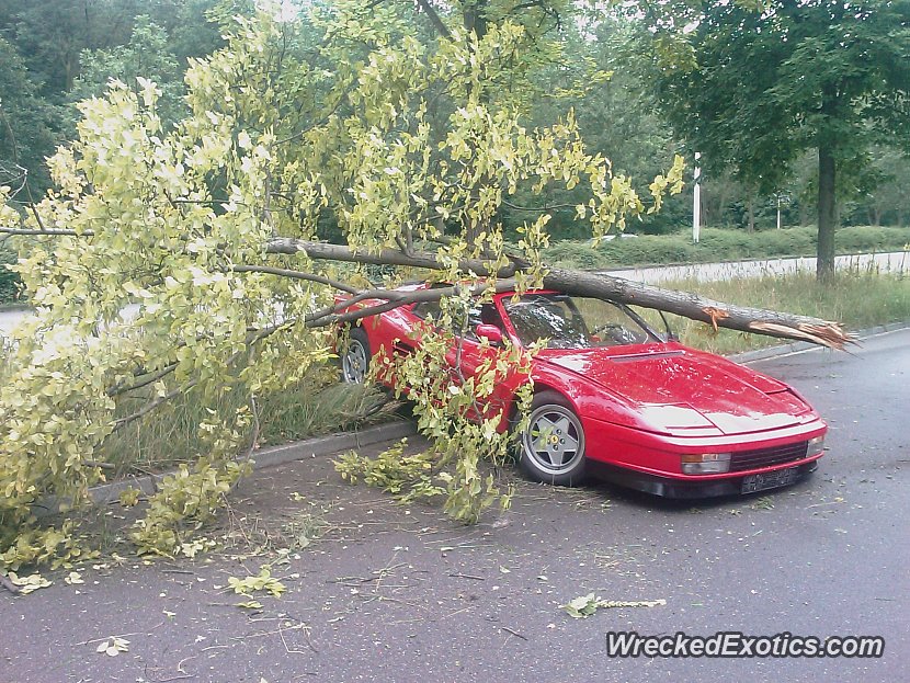Rally Hit Tree Slipped Off The Road, Hit a Tree Which Broke in Half And Ended up ...
